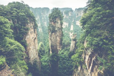 Zhangjiajie Forest Park. Kanyon yükselen dev ayağı dağlar. Hunan eyaleti, Çin.