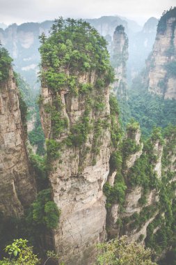 Zhangjiajie Forest Park. Kanyon yükselen dev ayağı dağlar. Hunan eyaleti, Çin.