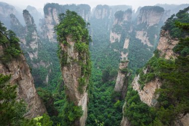 Zhangjiajie Forest Park. Kanyon yükselen dev ayağı dağlar. Hunan eyaleti, Çin.