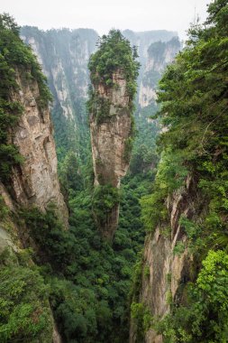 Zhangjiajie Forest Park. Kanyon yükselen dev ayağı dağlar. Hunan eyaleti, Çin.