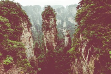 Zhangjiajie Forest Park. Kanyon yükselen dev ayağı dağlar. Hunan eyaleti, Çin.