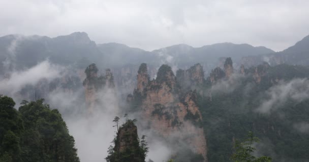 Zhangjiajie Forest Park Gigantiska Pelare Bergen Stiger Från Canyon Hunan — Stockvideo