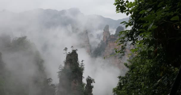 Πάρκο Zhangjiajie Δάσος Γιγάντιο Πυλώνα Βουνά Περνώντας Από Φαράγγι Επαρχία — Αρχείο Βίντεο