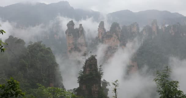 张家界森林公园 从峡谷中升起的巨大的柱子山脉 中国湖南省 — 图库视频影像