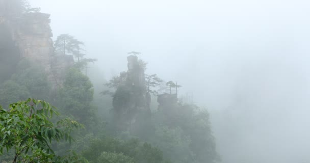 Zhangjiajie Forest Park Gigantische Pijler Bergen Stijgen Van Canyon Provincie — Stockvideo