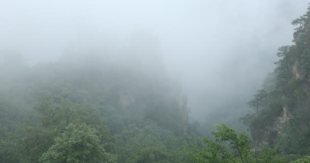 Zhangjiajie Waldpark Gigantische Säulenberge Die Sich Aus Der Schlucht Erheben — Stockvideo