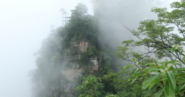 張り家界森林公園 巨大な柱山谷から上昇しています 湖南省 — ストック動画