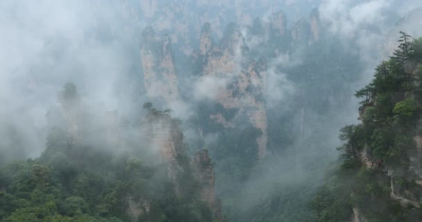 Zhangjiajie Forest Park Gigantische Pijler Bergen Stijgen Van Canyon Provincie — Stockvideo