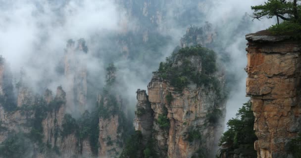 Zhangjiajie Waldpark Gigantische Säulenberge Die Sich Aus Der Schlucht Erheben — Stockvideo