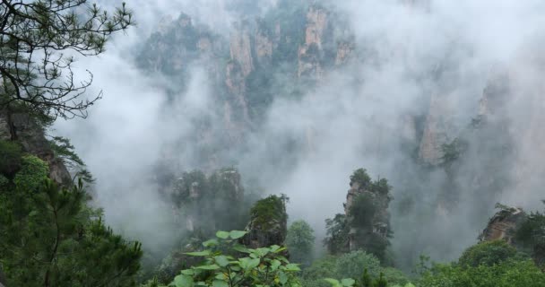 Zhangjiajie Forest Park. Montagnes gigantesques piliers s'élevant du canyon. Province du Hunan, Chine .