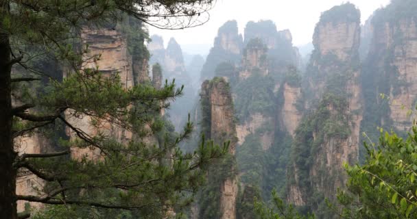 Πάρκο Zhangjiajie Δάσος Γιγάντιο Πυλώνα Βουνά Περνώντας Από Φαράγγι Επαρχία — Αρχείο Βίντεο