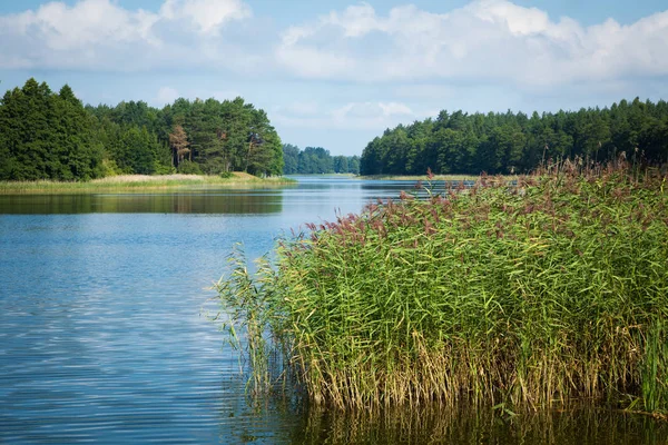 Wydmiskie Gölü Masuria Lakeland Bölgesindeki Polonya Wydminy — Stok fotoğraf
