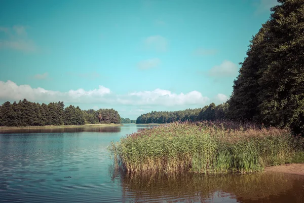 Wydmiskie Gölü Masuria Lakeland Bölgesindeki Polonya Wydminy — Stok fotoğraf