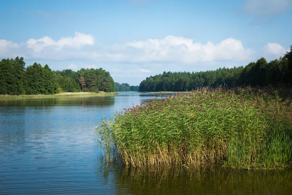 Озеро Выдмиски Мазурском Воеводстве Польши Выдмины — стоковое фото