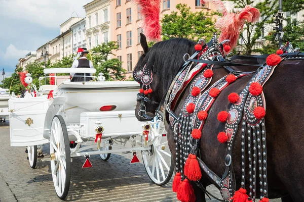 Cracow Poland August 2018 Horse Carriages Main Square Krakow Summer — Stock Photo, Image