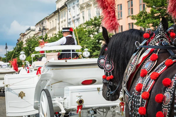 Cracow Poland August 2018 Horse Carriages Main Square Krakow Summer — Stock Photo, Image
