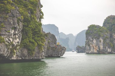 Halong Bay, Vietnam. UNESCO Dünya Mirası. Geleneksel turist tekneleri.