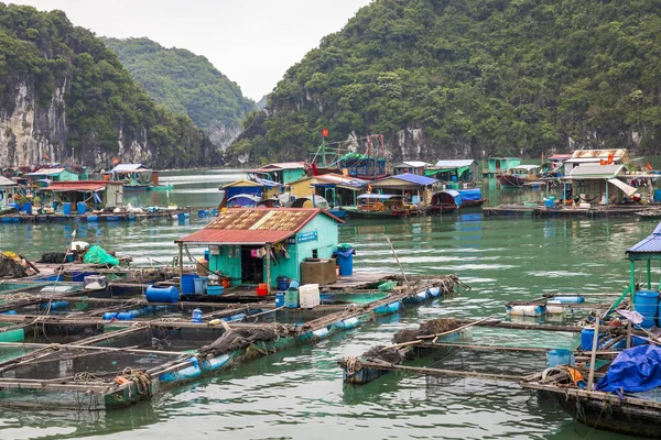 Schwimmende Fischerdörfer Und Fischerboote Cat Island Vietnam Südostasien Unesco Weltkulturerbe — Stockfoto