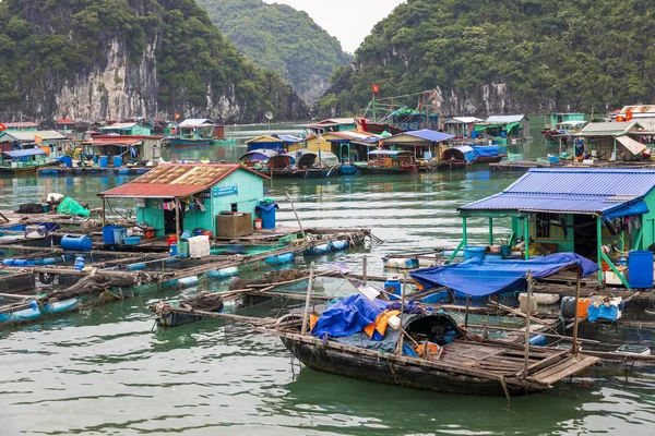 Schwimmende Fischerdörfer Und Fischerboote Cat Island Vietnam Südostasien Unesco Weltkulturerbe — Stockfoto