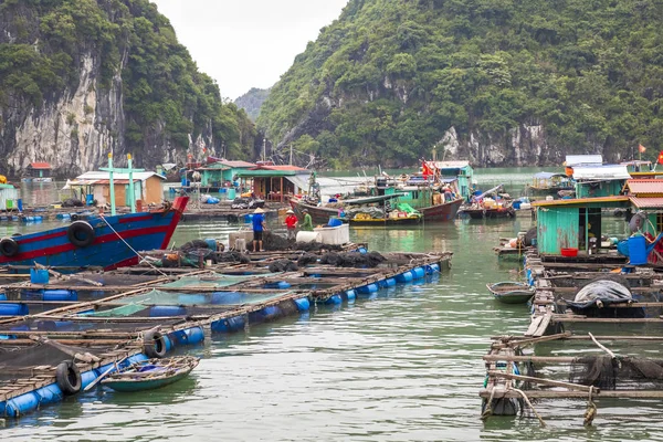 Villaggio Pescatori Galleggianti Barche Pesca Cat Island Vietnam Sud Est — Foto Stock