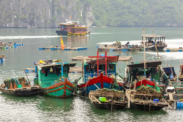 Villaggio Pescatori Galleggianti Barche Pesca Cat Island Vietnam Sud Est — Foto Stock