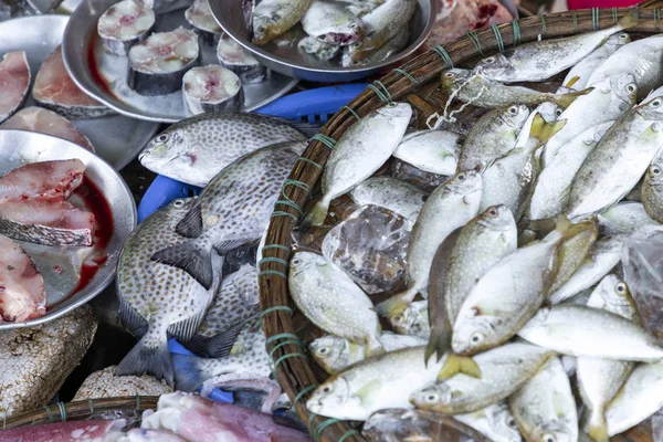 Fresh fish at local traditional market in Hue, Vietnam.