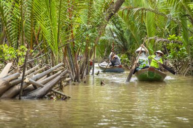 Benim Tho, Vietnam - 24 Kasım 2018: Mekong Nehri Deltası orman cruise ile tanımlanamayan craftman ve balıkçı kürekli tekneler çamurlu lotus alanı Mekong Deltası'nda sel.