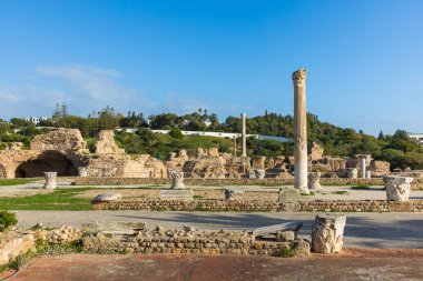 Antik Carthage şehir, Tunis, Tunus, Kuzey Afrika Harabeleri. 
