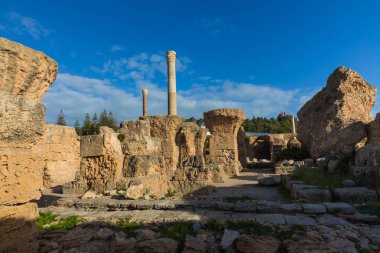 Antik Carthage şehir, Tunis, Tunus, Kuzey Afrika Harabeleri. 