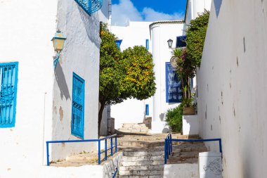 Cityscape tipik beyaz mavi renkli evler tatil beldesi Sidi Bou Said ile. Tunus, Kuzey Afrika.