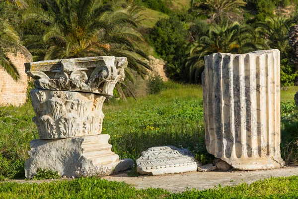 Ruinerna Den Antika Staden Carthage Tunis Tunisien Nordafrika — Stockfoto