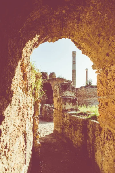 Ruinas Antigua Ciudad Cartago Túnez Túnez África Del Norte —  Fotos de Stock