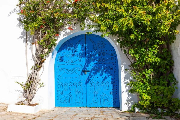 Cityscape Typical White Blue Colored Houses Resort Town Sidi Bou — Stock Photo, Image