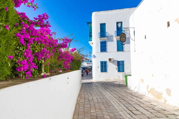 Paesaggio Urbano Con Tipiche Case Colorate Blue Bianche Località Sidi — Foto Stock