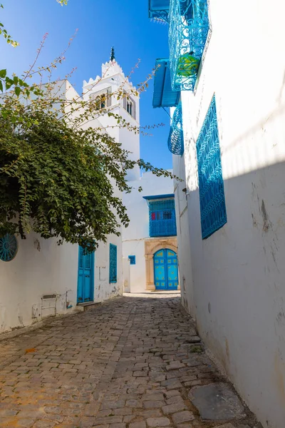 Paysage Urbain Avec Des Maisons Typiques Couleur Bleue Blanche Dans — Photo