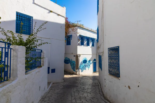 Paesaggio Urbano Con Tipiche Case Colorate Blue Bianche Località Sidi — Foto Stock