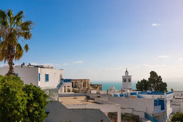 リゾートの町シディブ サイドからパノラマの景色 チュニジア 北アフリカ — ストック写真