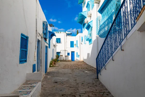 Cityscape Com Típicas Casas Cor Azul Branco Cidade Resort Sidi — Fotografia de Stock
