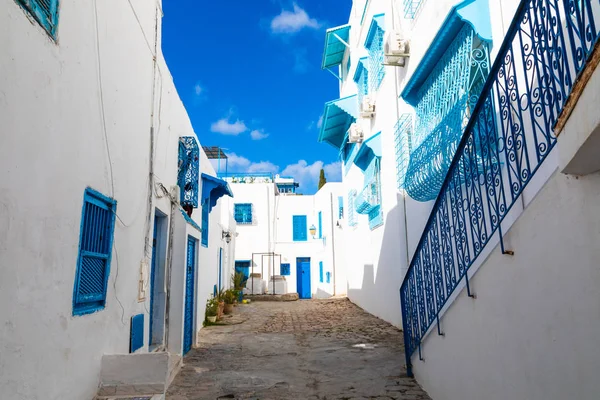 Cityscape Typical White Blue Colored Houses Resort Town Sidi Bou — Stock Photo, Image