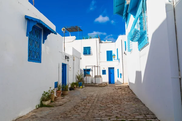 Типичными Домами Бело Голубого Цвета Курортном Городе Сиди Саид Тунис — стоковое фото