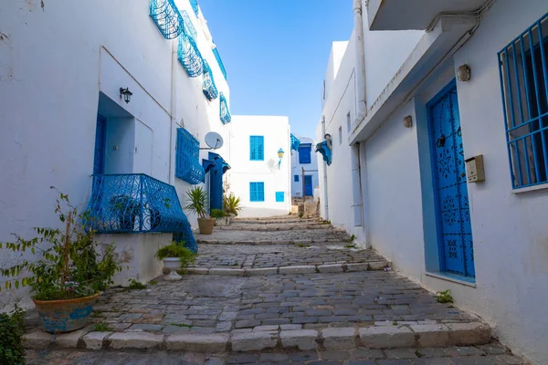 Cityscape Com Típicas Casas Cor Azul Branco Cidade Resort Sidi — Fotografia de Stock