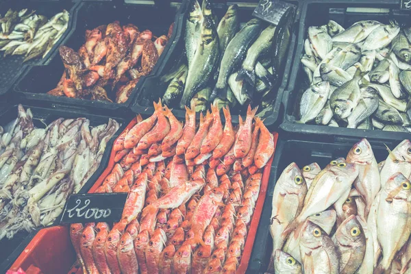 Mercado Pescado Tradicional Túnez — Foto de Stock