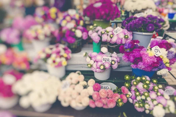 Blomstermarknaden Turistiska Street Selektivt Fokus — Stockfoto