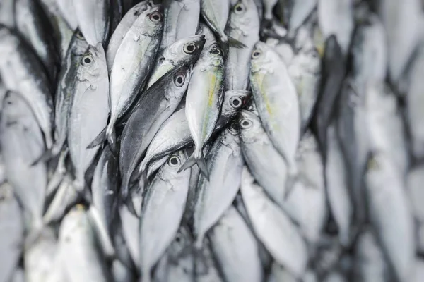 Frischer Fisch Auf Dem Lokalen Lebensmittelmarkt Selektiver Fokus — Stockfoto