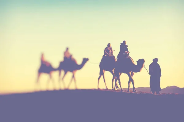 Kamelkarawane Mit Menschen Die Durch Die Sanddünen Der Sahara Wüste — Stockfoto