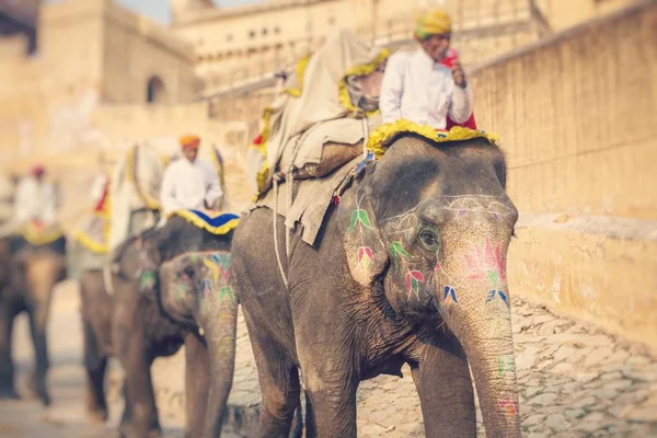 Dekorierte Elefanten Jaleb Chowk Bernstein Festung Jaipur Indien Elefantenreiten Ist — Stockfoto