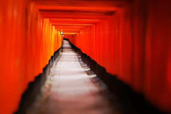 Santuario Inari Fushimi Enfoque Selectivo —  Fotos de Stock