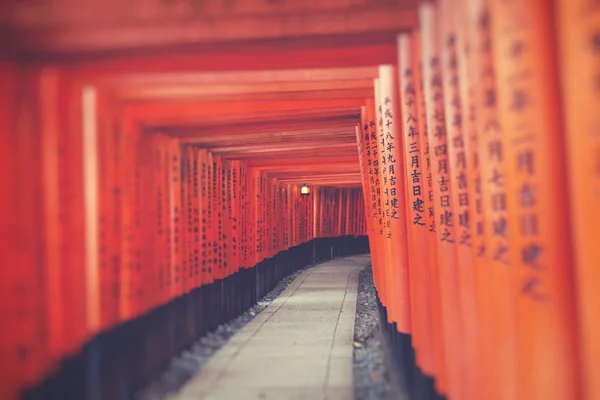 Fushimi Inari Schrein Selektiver Fokus — Stockfoto