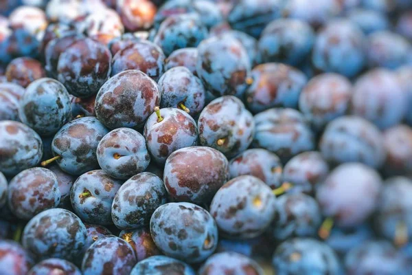 Ciruelas Mercado Stand Selective Focus — Foto de Stock