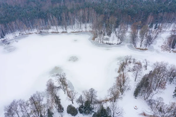 Vista Aerea Del Lago Ghiacciato Paesaggio Invernale Foto Paesaggio Catturato — Foto Stock